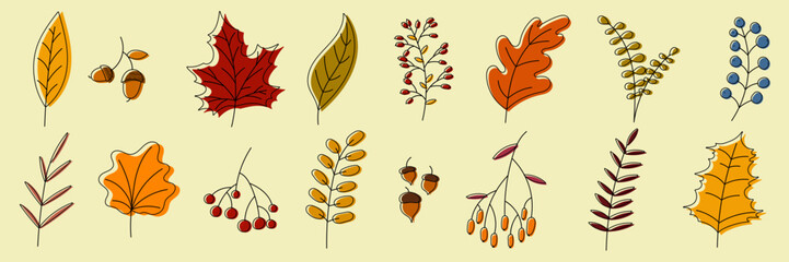 Hand drawn autumn collection with seasonal plants and leaves. Set of hand drawn plants, leaves, flowers. Colorful of natural elements for seasonal backgrounds. Vector illustration