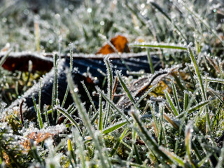 Beautiful, shiny green grass covered with big, white, ice crystals in the early cold winter morning. Ice on grass shining like diamonds in sunlight