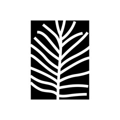 chamaedorea tropical leaf glyph icon vector. chamaedorea tropical leaf sign. isolated symbol illustration