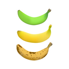 Banana vector set design. Ranging from unripe banana, ripe banana and rotten banana