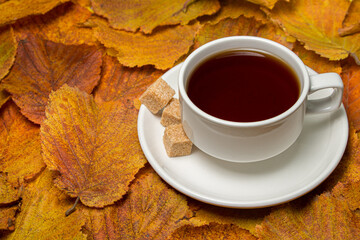 Cup of tea on autumn leaves. Autumn tea.