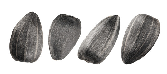 set of sunflower seeds isolated on a white. the entire image in sharpness.