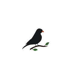 the vector bird illustration samyong