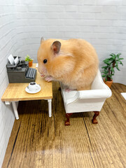 Cute Syrian hamster working at a desk on an old fashioned typewriter 
