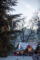 lviv city christmas tree close up