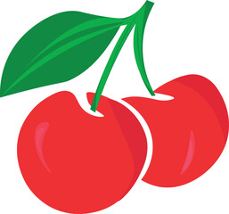 Cherry vector.Fresh cherry illustration. Cherry vector.Fresh cherry illustration
