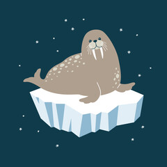 Fototapeta premium Vector illustration of a cute walrus on an iceberg