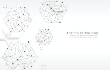 Obraz premium white vector background geometric hexagon line concept