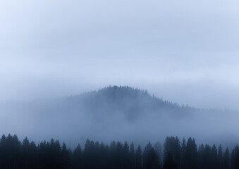 Obraz na płótnie Canvas Mountain surrounded by fog and pine trees