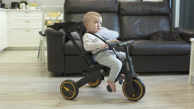 Happy toddler sitting on tricycle watching tv at home, child on pedal and push trike for children.