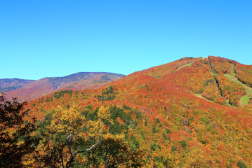 志賀高原の秋色の山々