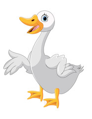 Cartoon duck on white Background