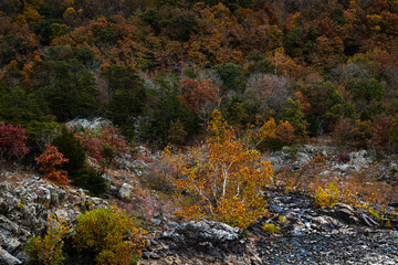 Autumn in Great Falls Virginia