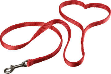 Nylon Dog Leash with metal carabiner