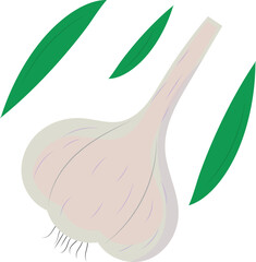 Ingredient for cooking garlic. Flat style. Vector.