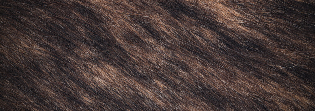 close up photo of dark drown fur texture background	
