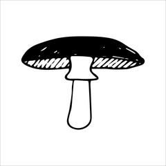 a single vector element mushroom white background.