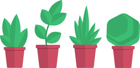 set off green plant in vase, flowers in pot flat design style isolated illustration