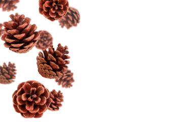 Levitation of a cones - a Christmas tree decoration isolated on a transparent background, copy space.