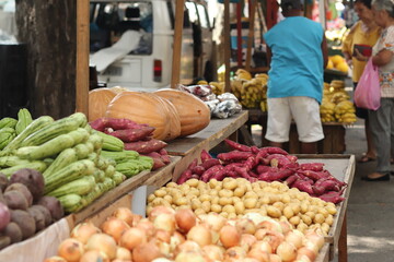 Rio de Janeiro, RJ, Brazil, 2022 - Street fair in Grajau neighborhood - apples, oranges, tangerines, bananas, lettuce, watercress, tomatoes,  bell peppers, flowers