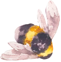 Watercolor Bee Transparent PNG © depiano