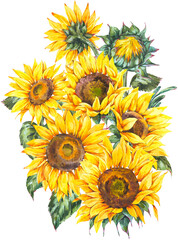 Sunflowers Bouquet Transparent PNG