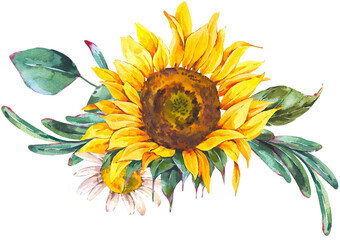 Sunflower Watercolor Botanical Flower Transparent PNG - 545187146