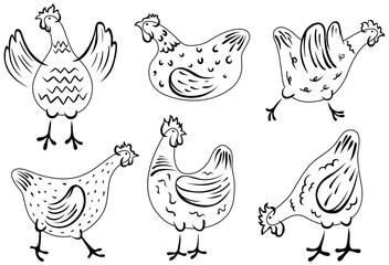 Set of hand-drawn hen. Chicken illustration domestic birds.