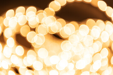 christmas light 2