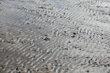 Low tide, North Sea beach with wavy seabed, close up.
