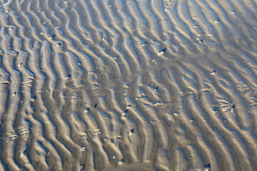 Low tide, North Sea beach with wavy seabed, close up.
