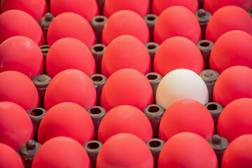 Fototapeta premium Salted Egg and Scrambled Eggs Pickled Eggs (Thai Language) Colorful Eggs