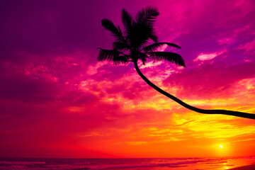 Coconut palm tree hanging over the water on tropical ocean beach at vivid colorful sunset