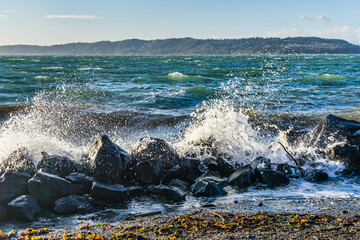 Windy Park Shoreline Waves 14