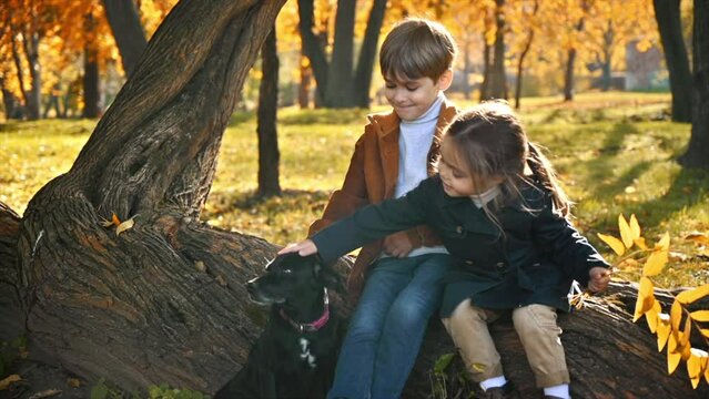 Happy family in an autumn park. Brother and sister sitting on a tree trunk and petting their dog, yellowed trees around. Slow motion