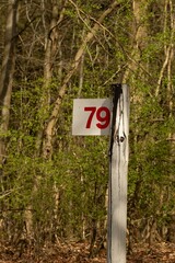 Old wooden post with the number 79