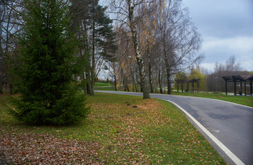 road in the park