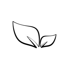 leaf icon