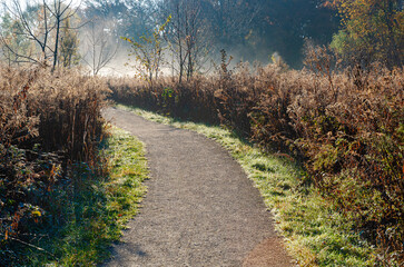 623-72 Morning Trail in the Mist