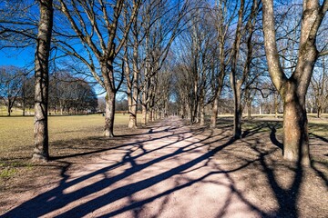 Pathway in the empty park