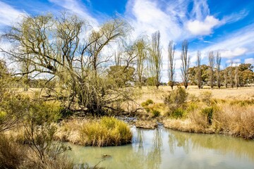 Beautiful shot of Stoney Creek in Glen Innes in Australia