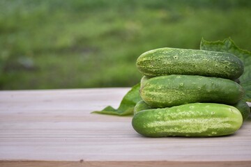 Selective focus of freshly picked juicy cucumbers on a wooden table with leaves, lawn background