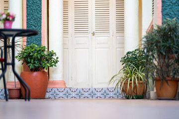 Footstep of Vintage Interior in the house with three trees beside and around in Old Asian style...
