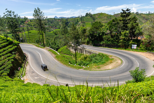 Sri Lanka Tea Plantation. Green Fields. Haputale, Sri Lanka.