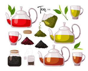 Different teas collection, Green, black, red tea. Glass cups and teapots with tea, herbal dried leaves, Full dry plant jar. Vector illustration for greeting card, banner, advertising, menu, articles