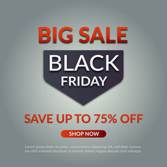 Black Friday sale banner for a social media post template