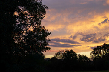 Ciel automnal orangé avec des arbres