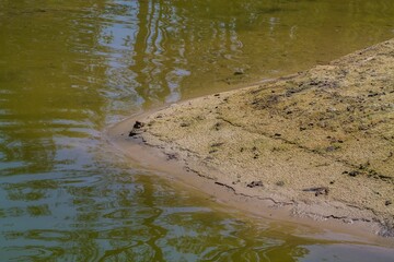 Sandy lakeshore with reflections on the water