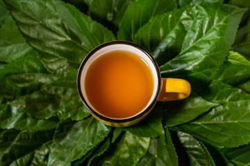 Uma caneca de chá amarelo, sobre várias folhas verdes e frescas. Conceito de cura através da natureza.