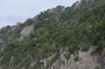 Fototapeta na wymiar Jungle Landschaft und Berge.